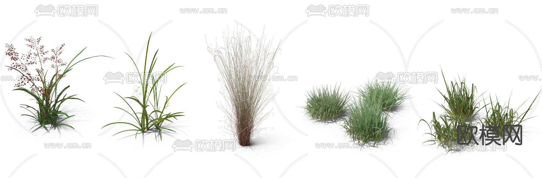 芦苇草 枯草 野草 草丛psd下载