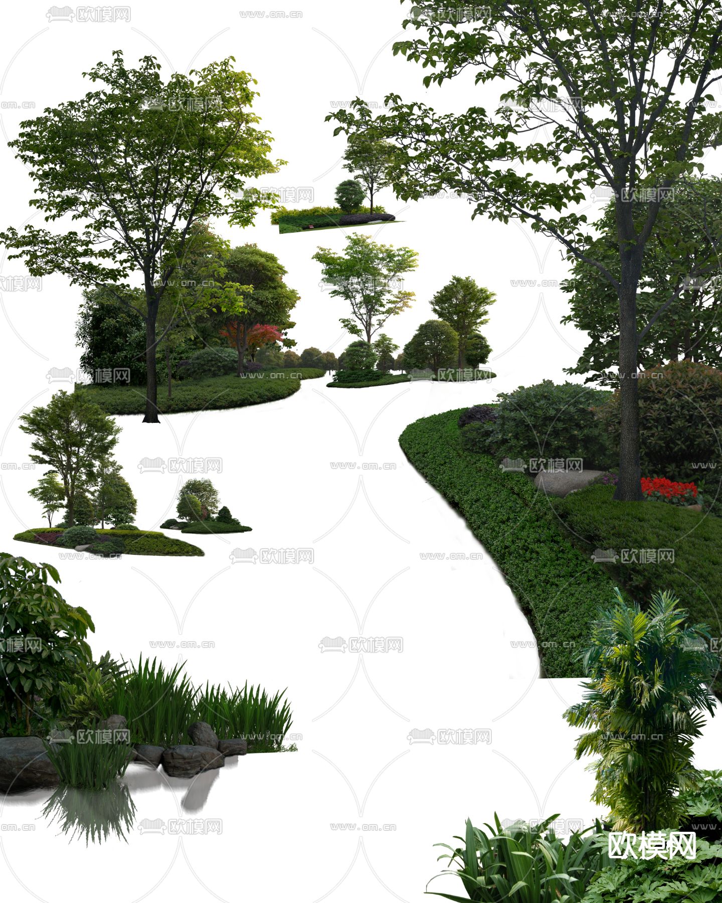 植物 灌木丛psd下载