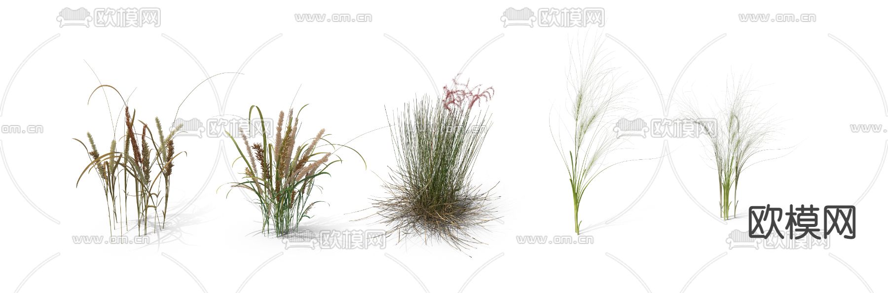 麦穗 枯草 草丛psd下载