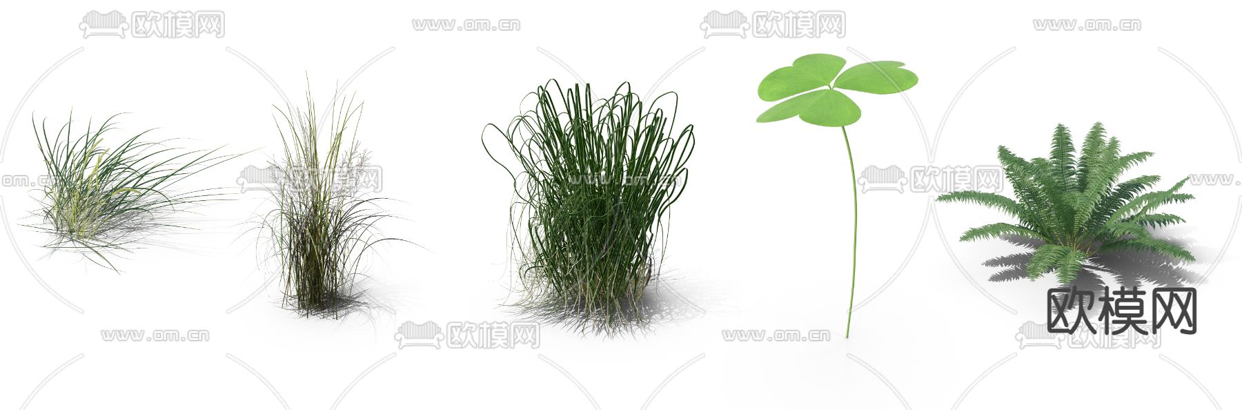 芦苇草 枯草 四叶草 草丛psd下载