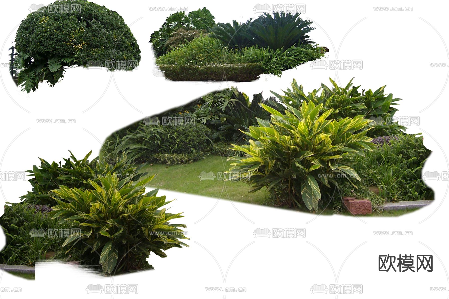 绿植灌木丛psd下载