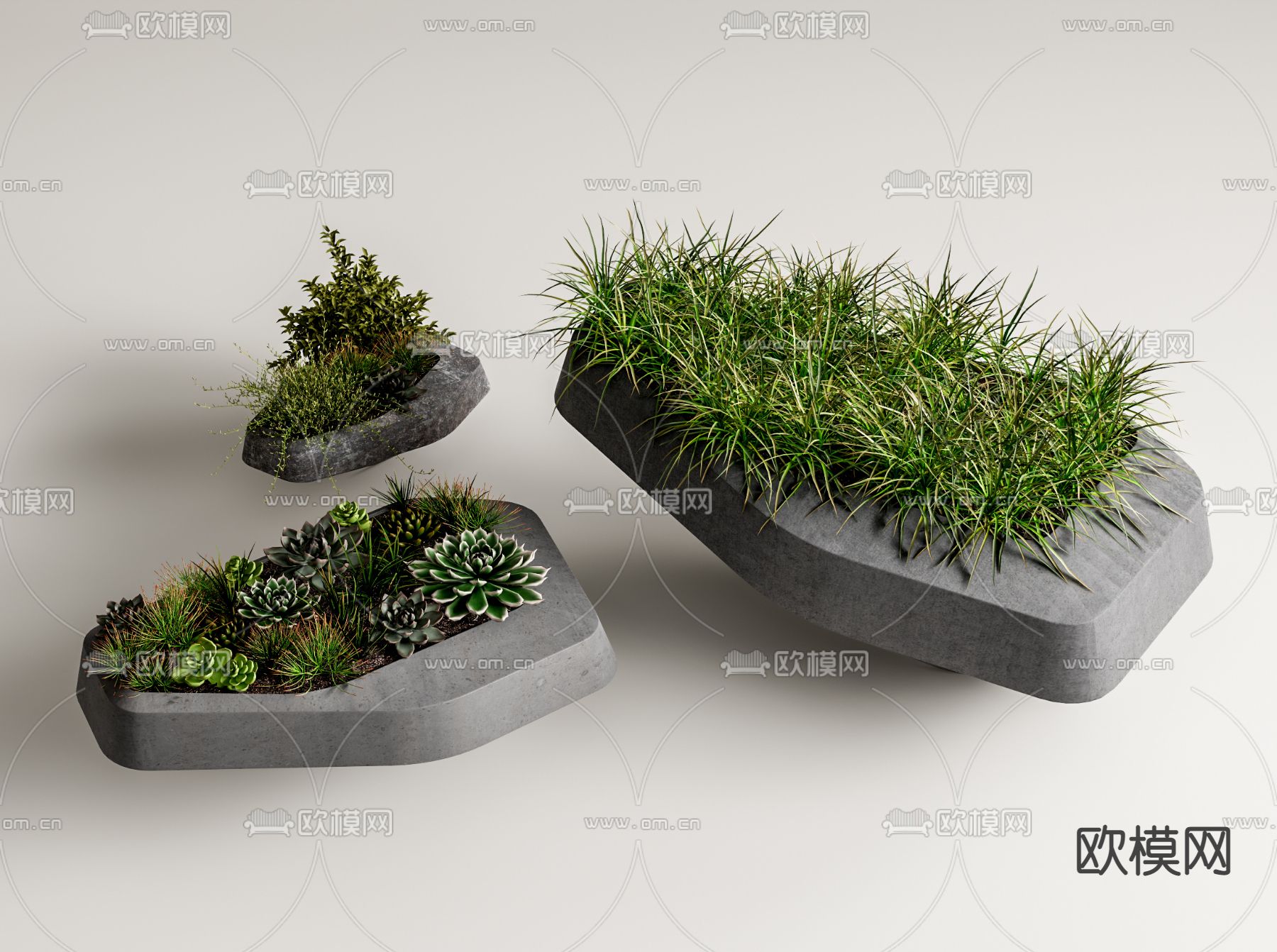 现代多肉植物盆栽su模型