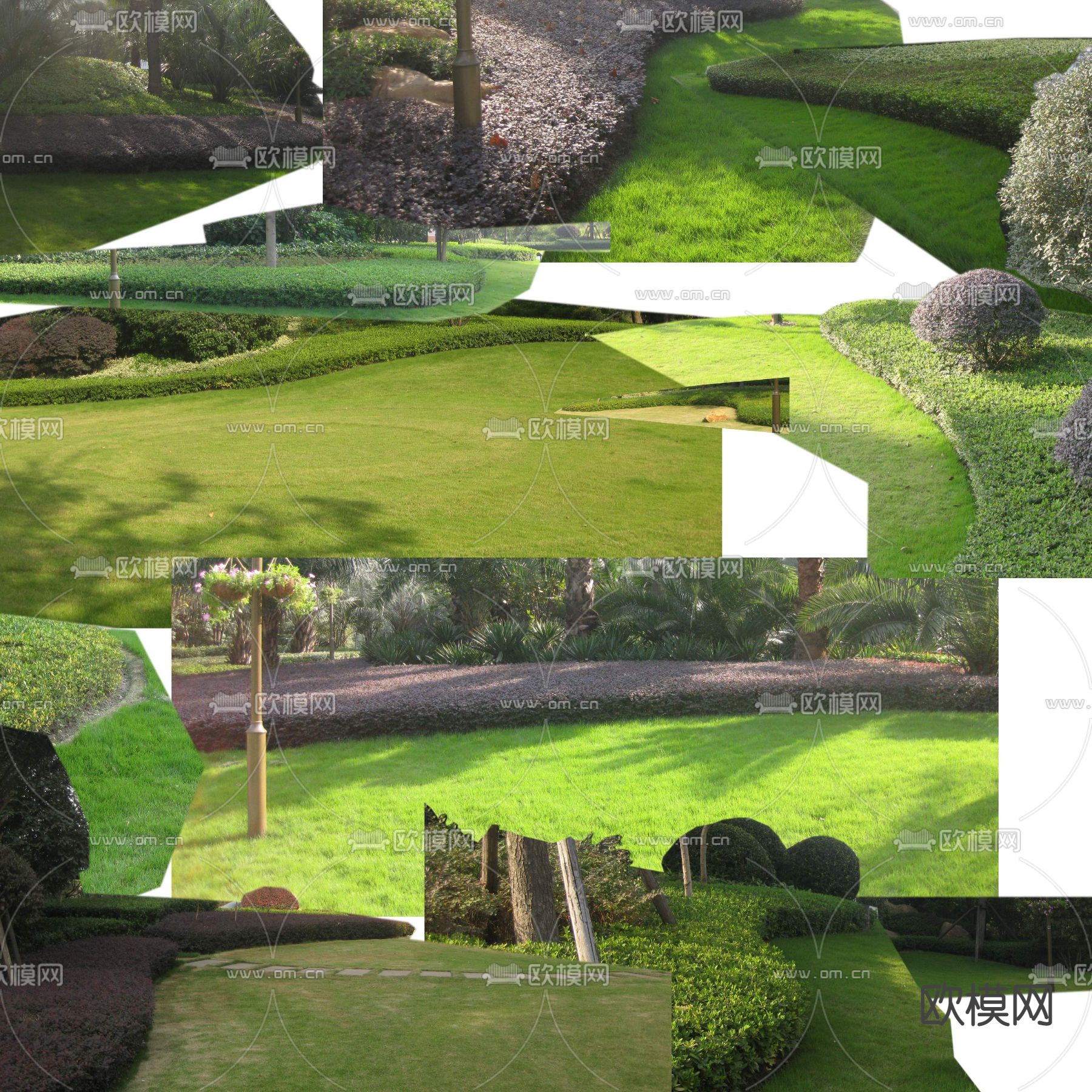 绿植灌木丛psd下载