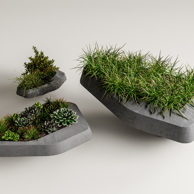 现代多肉植物盆栽su模型