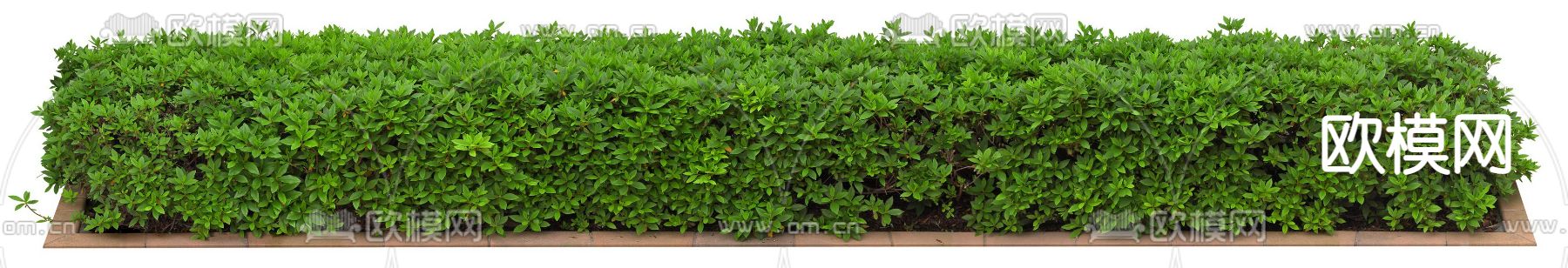 灌木景观psd下载