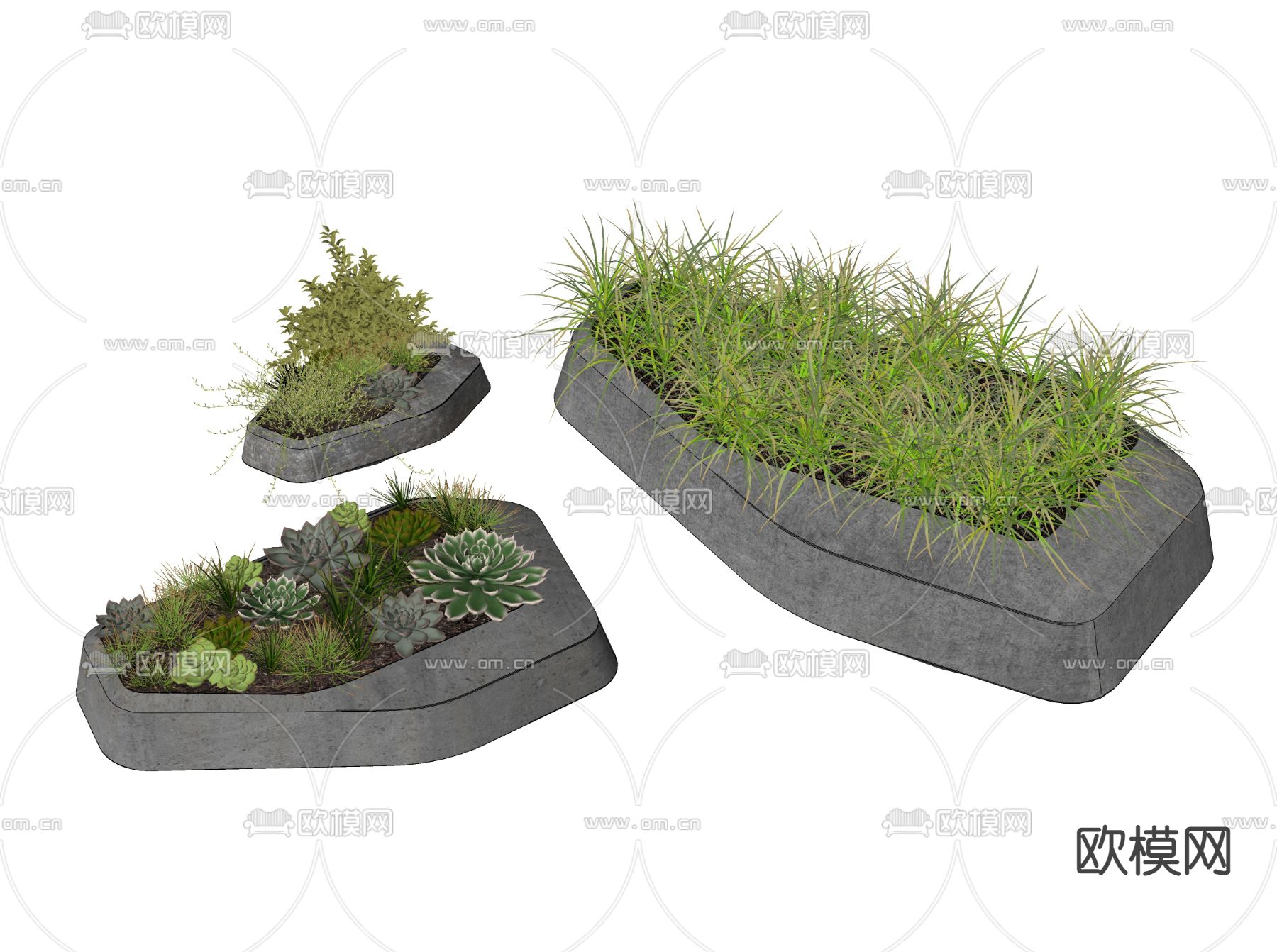 现代多肉植物盆栽su模型