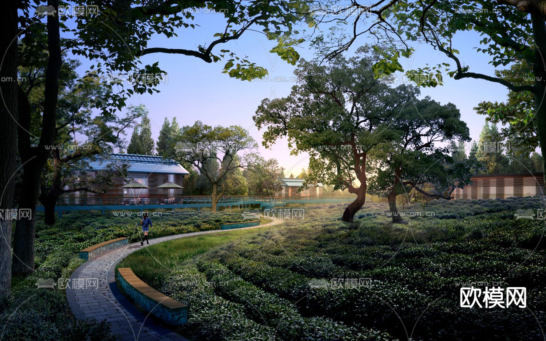 现代公园草丛景观树psd下载