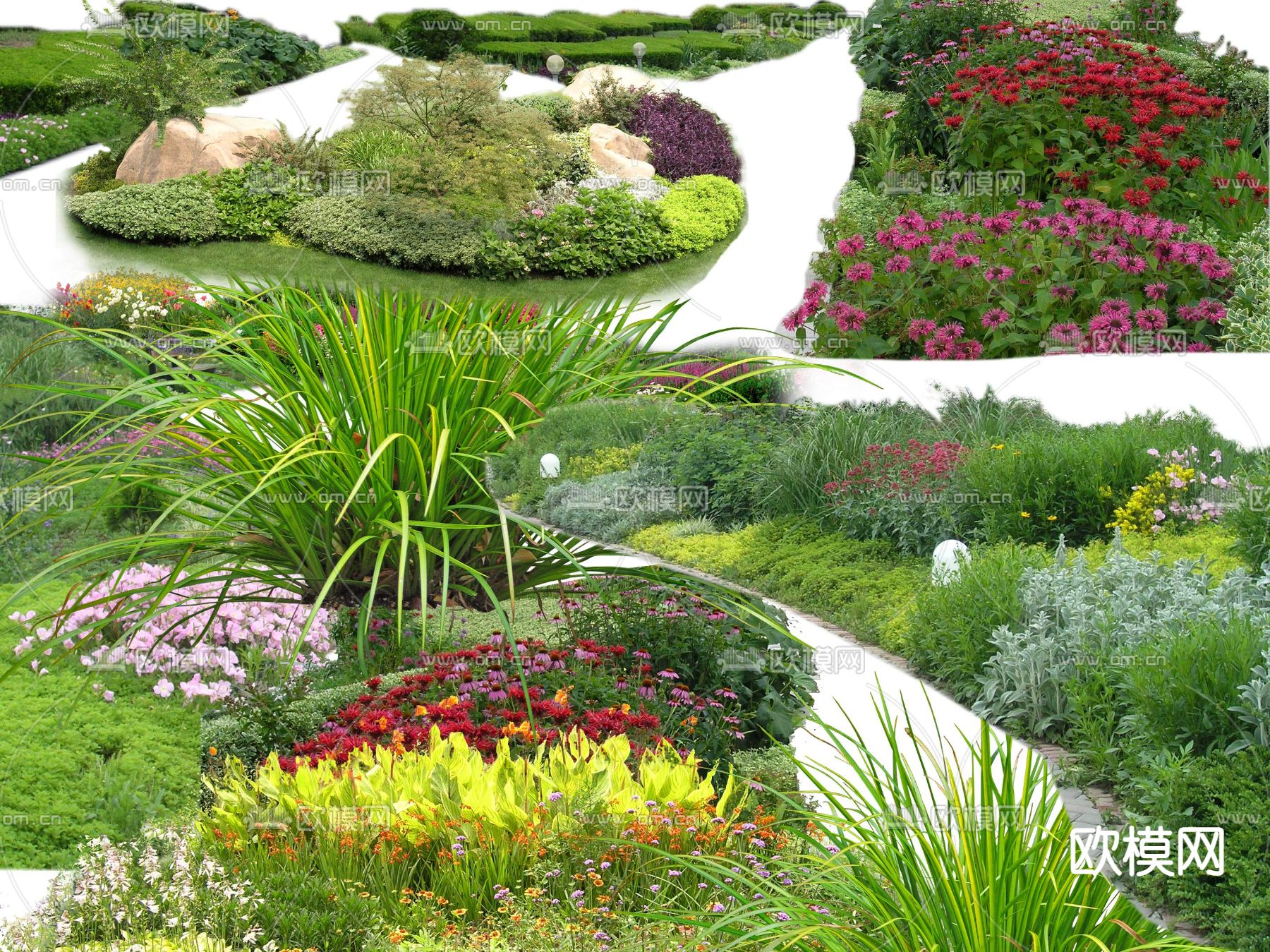 绿植花卉花草灌木丛psd下载