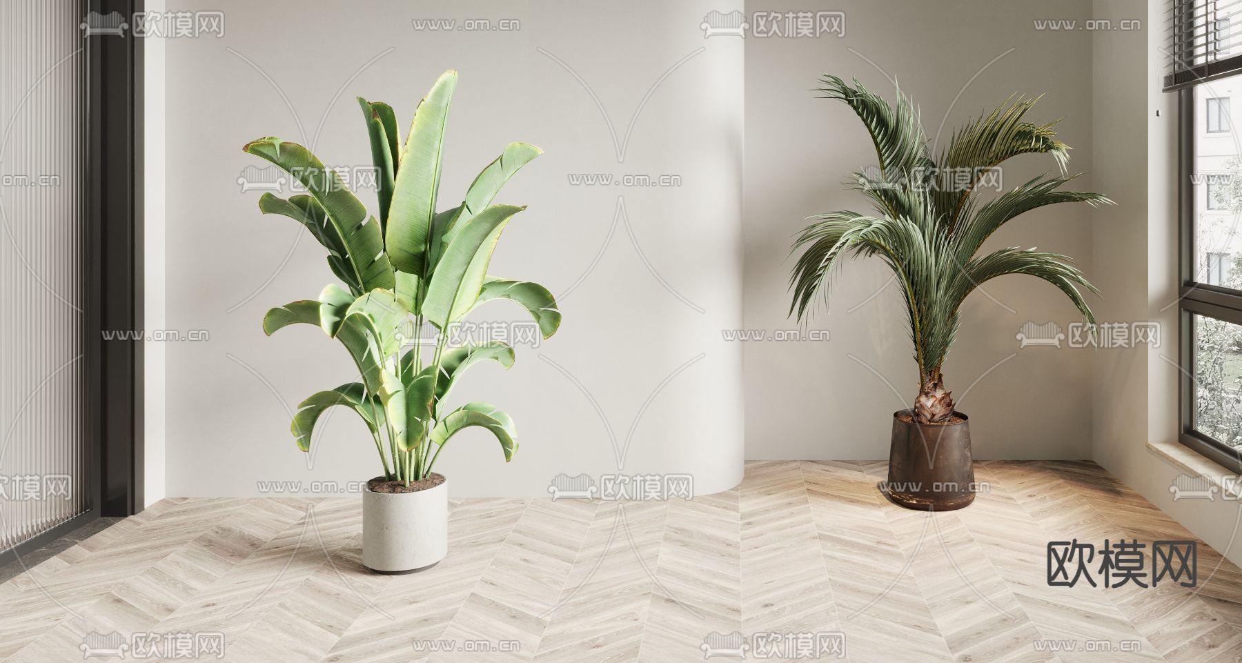 旅人蕉 散尾葵su模型下载（渲染图1）