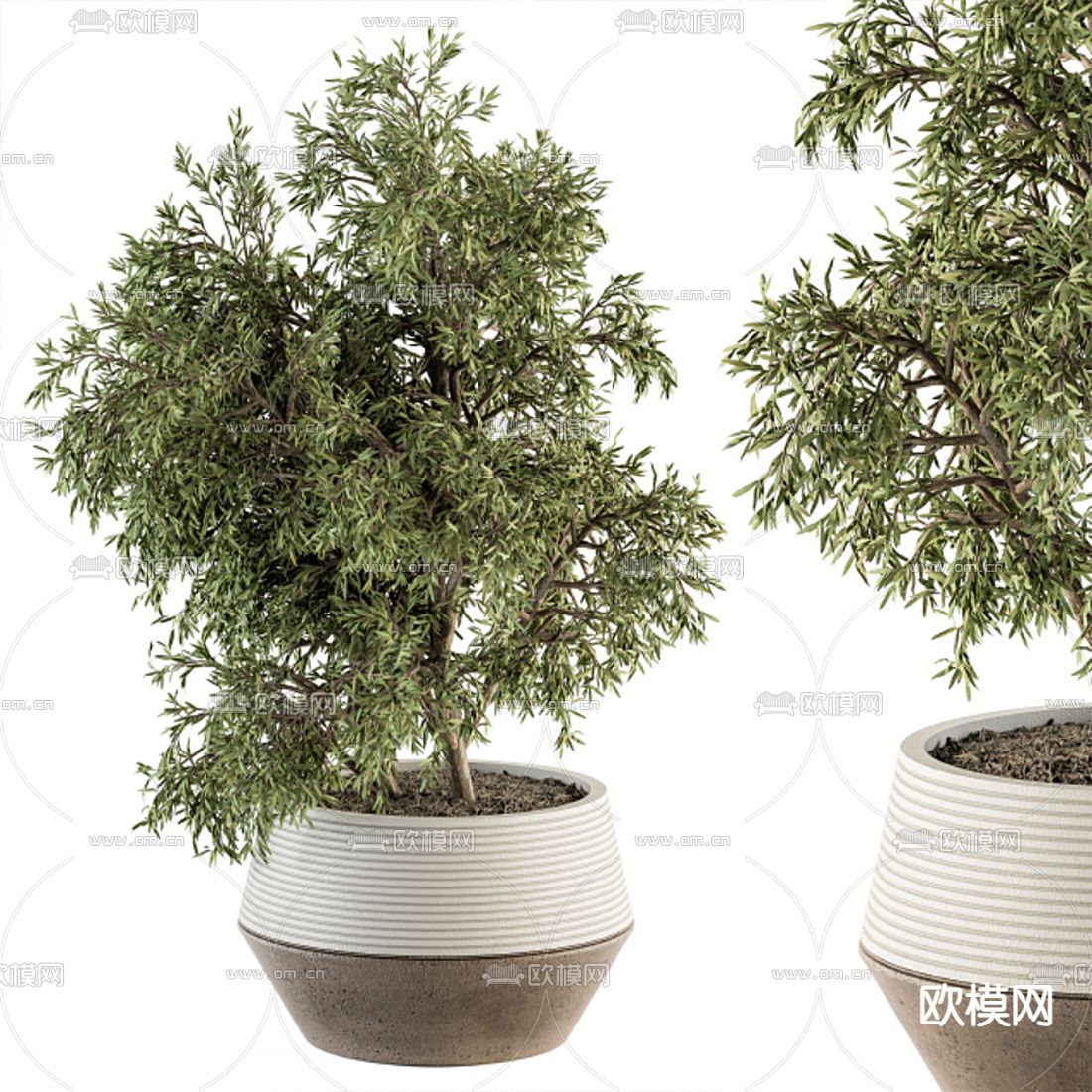 现代植物盆栽 盆景3d模型下载_ID12134242_3dmax免费模型-欧模网