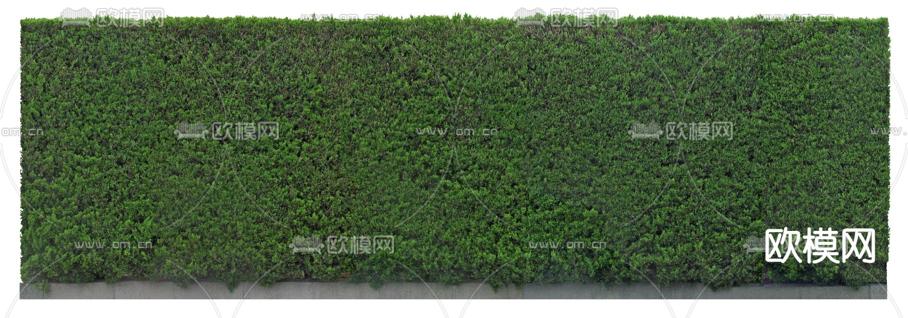 现代黄杨篱笆灌木psd下载