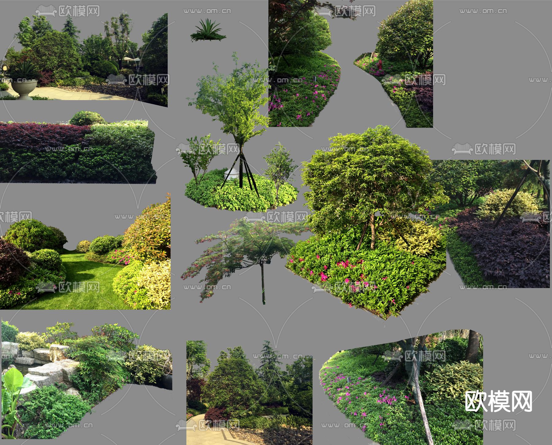现代景观树大树灌木丛psd下载_ID12131714_3dmax免费模型-欧模网