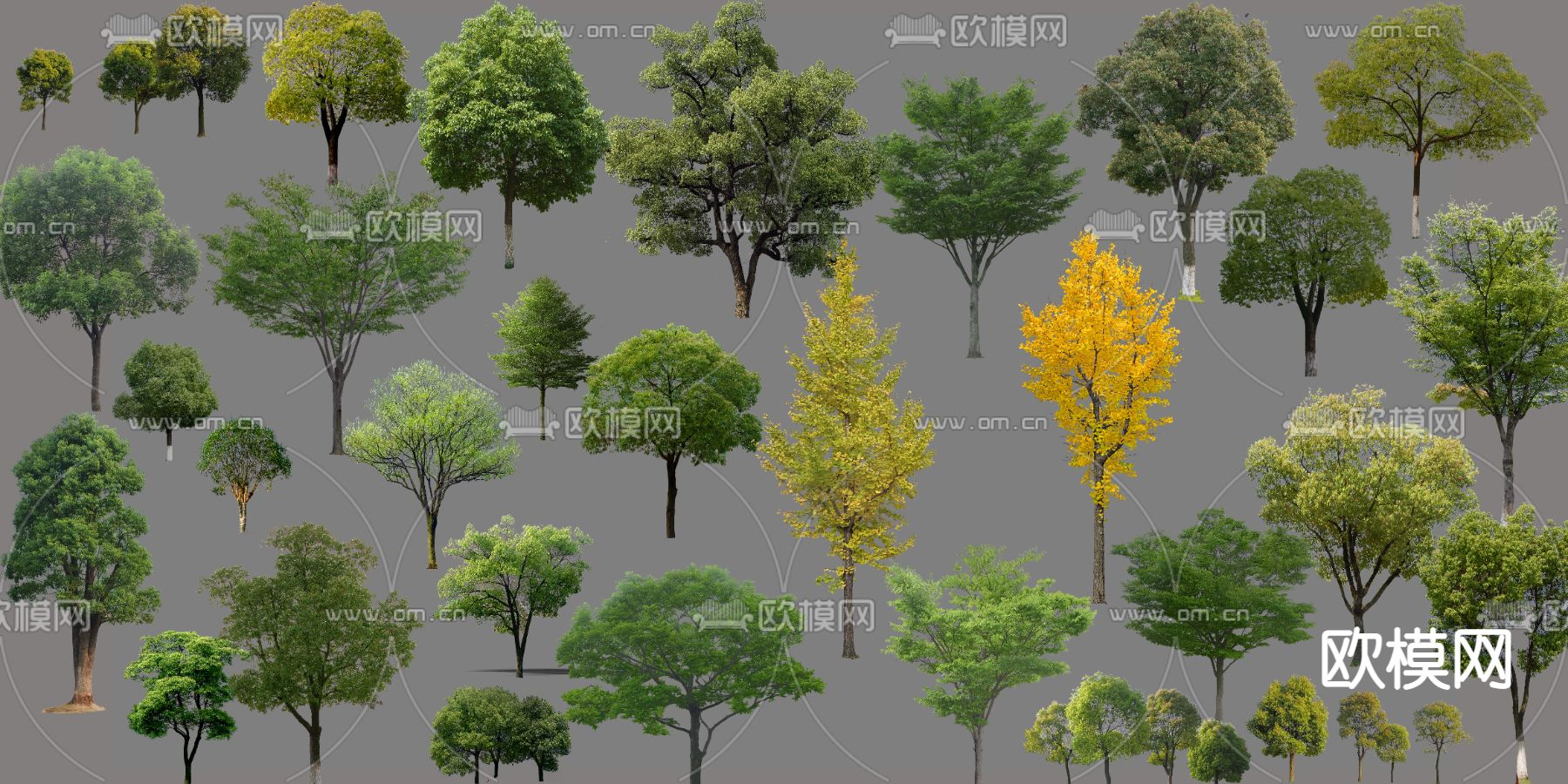 现代景观树大树树木psd下载_ID12131666_3dmax免费模型-欧模网