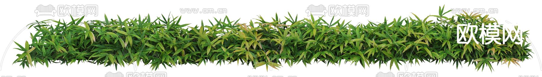 现代灌木绿植植物psd下载