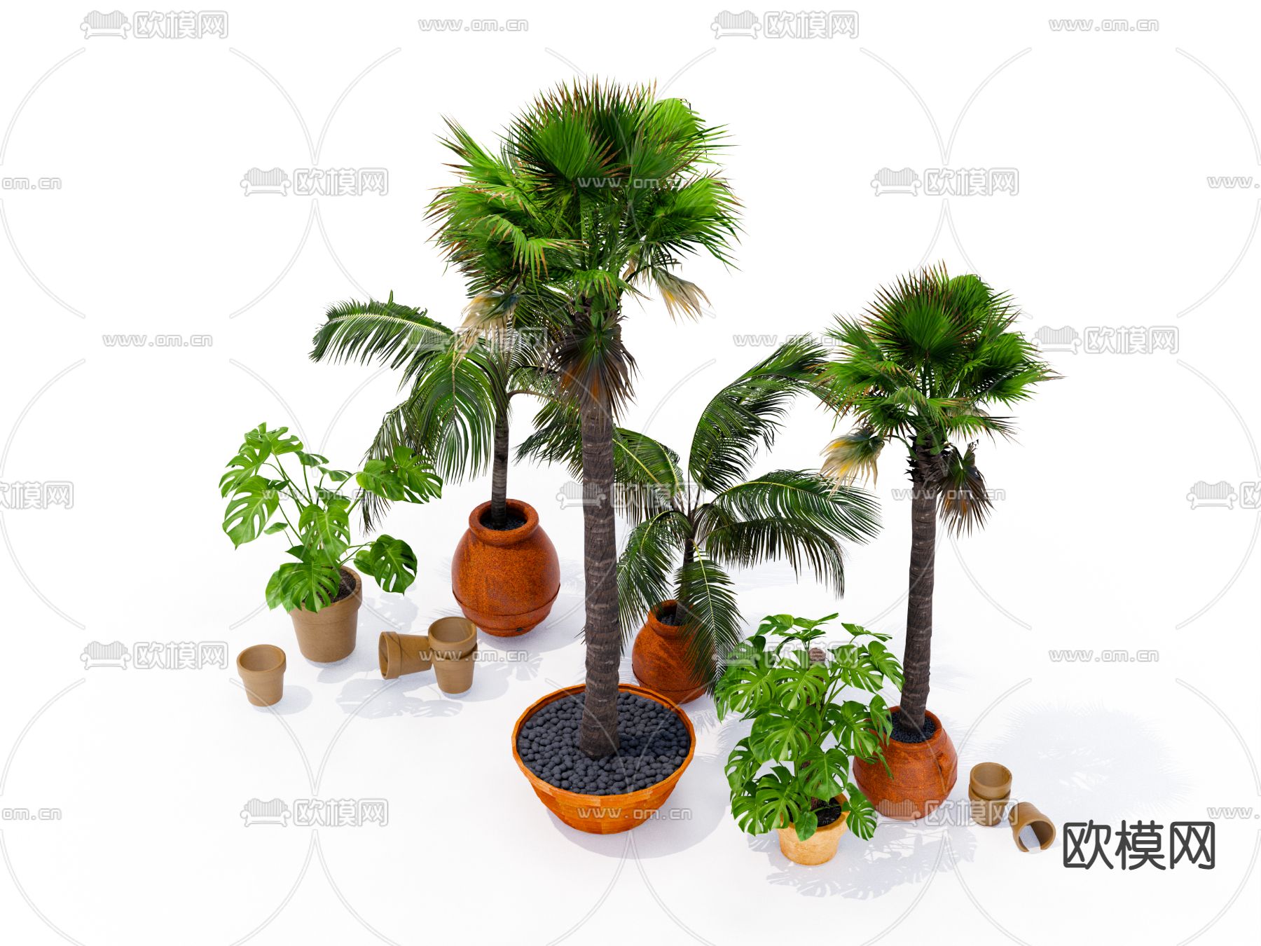 现代棕榈树绿植盆栽su模型下载（渲染图2）