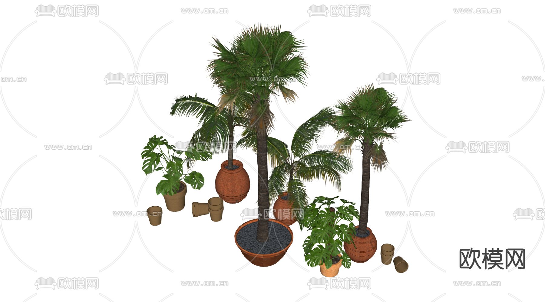 现代棕榈树绿植盆栽su模型下载（渲染图3）
