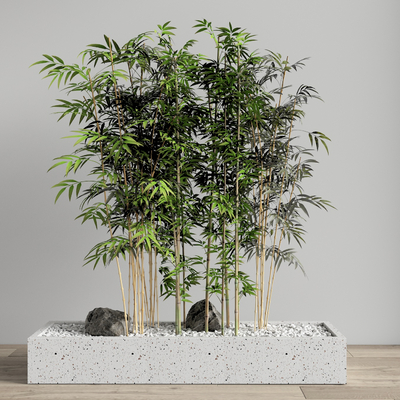  现代竹子su模型 