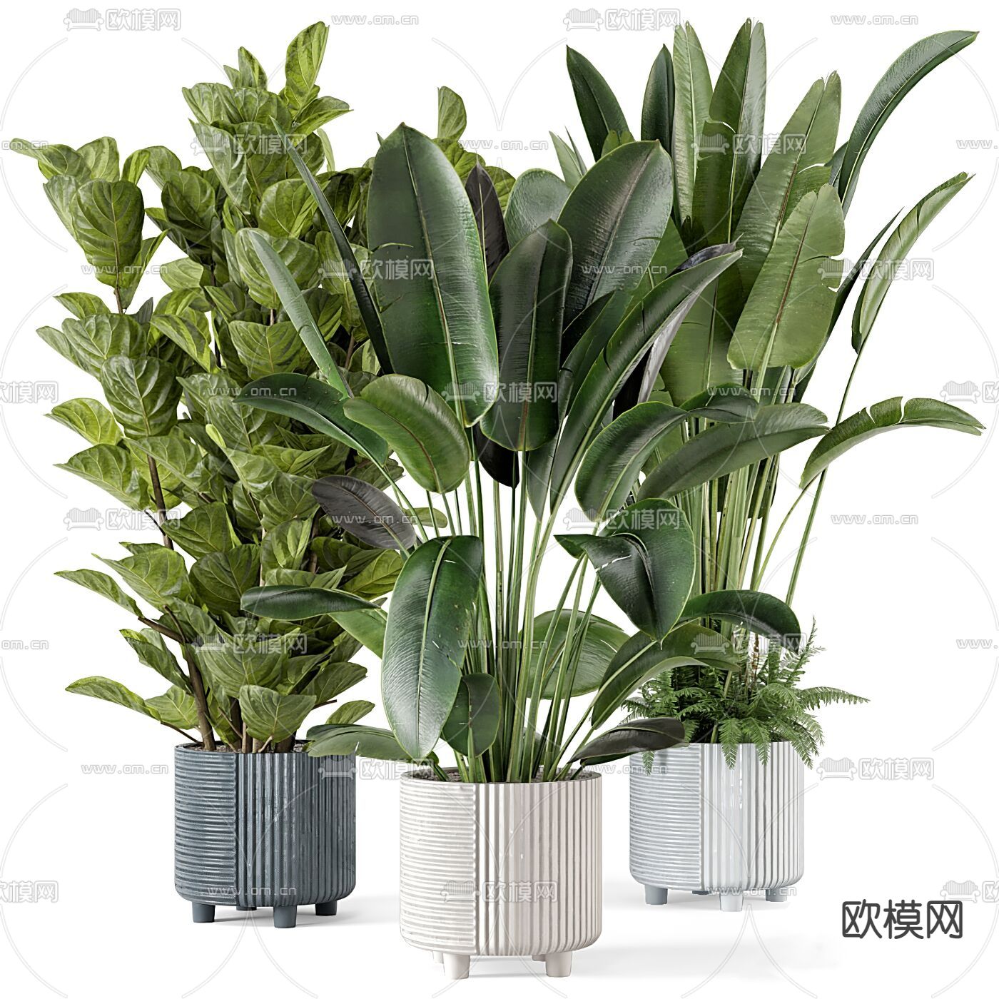 现代绿植盆栽 盆景3d模型下载_ID12137175_3dmax免费模型-欧模网