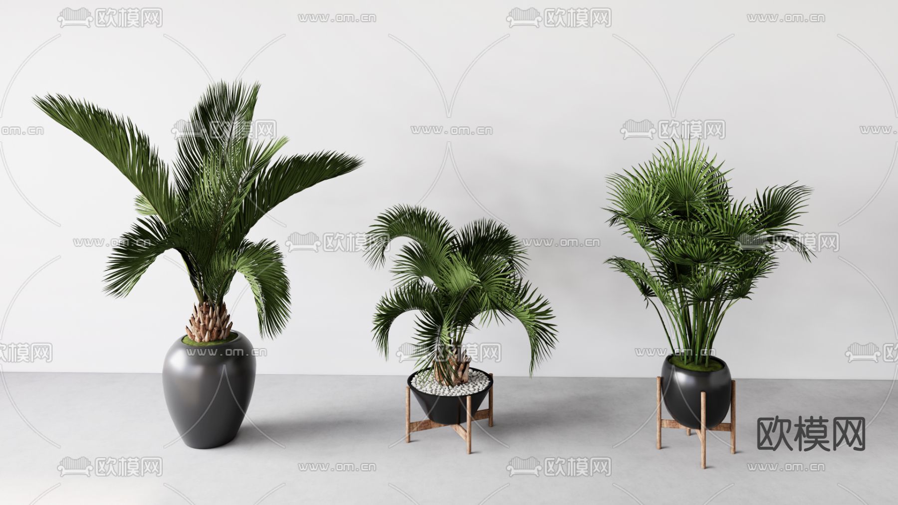 现代散尾葵盆栽su模型下载（渲染图1）