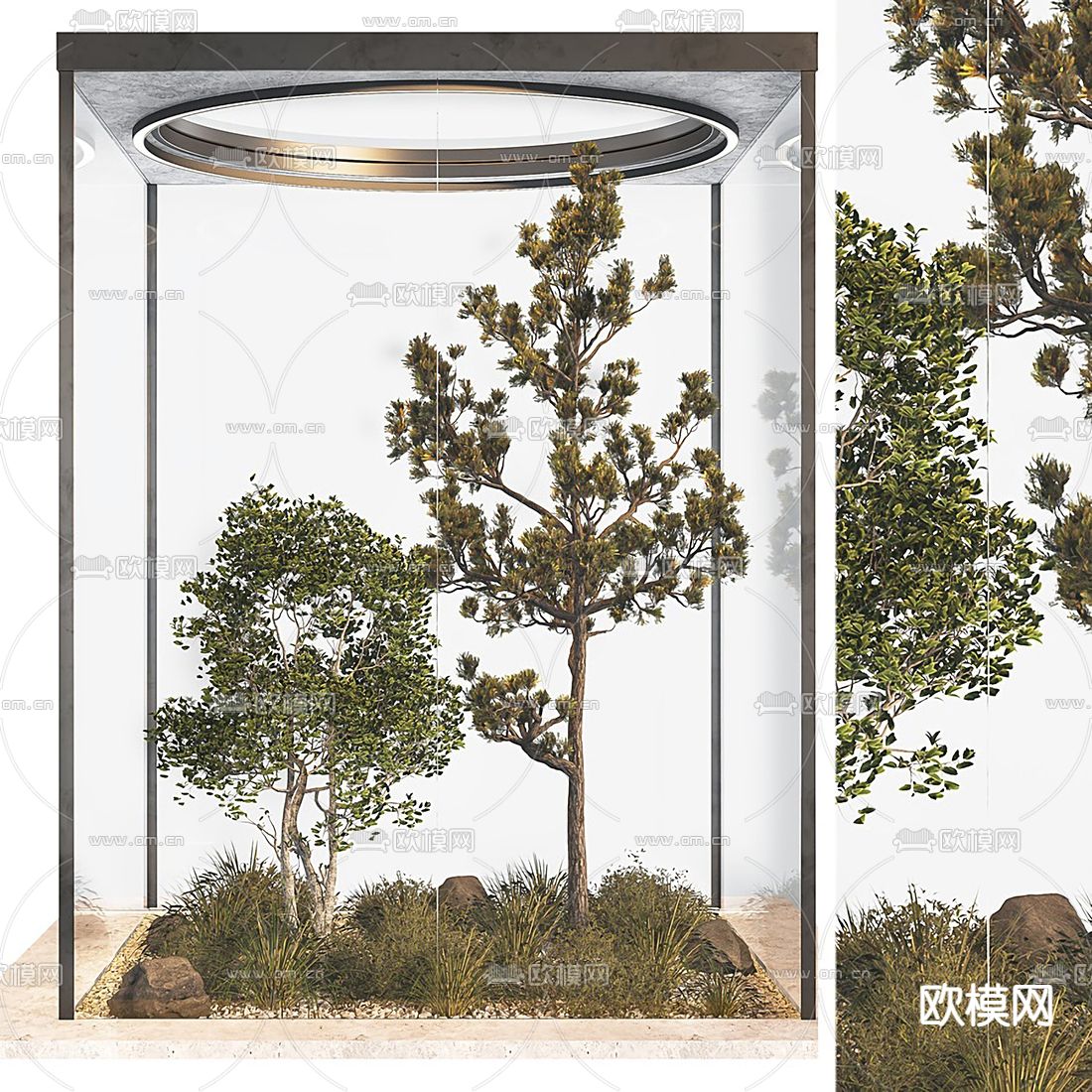 玻璃房 植物堆 景观小品3d模型下载（渲染图2）