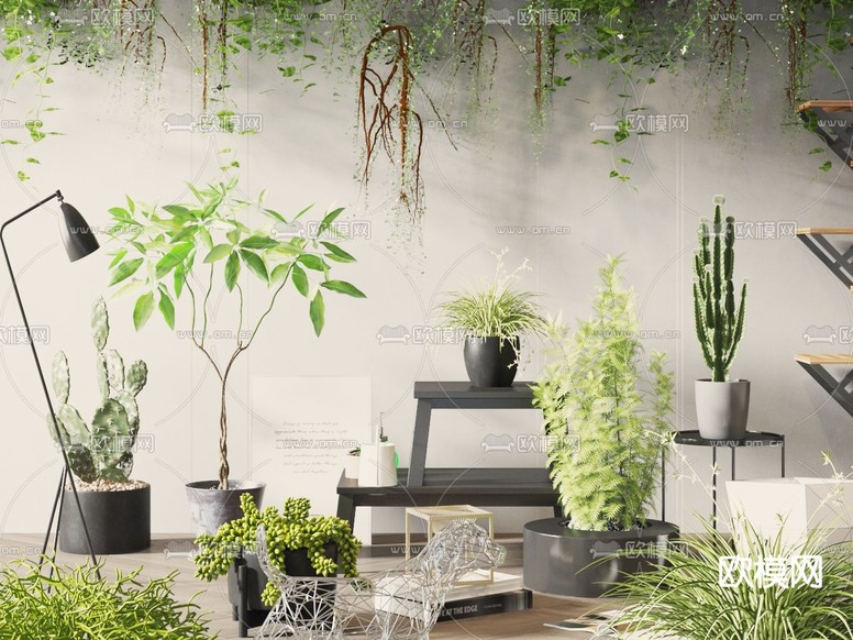 现代绿植盆栽 盆景3d模型下载