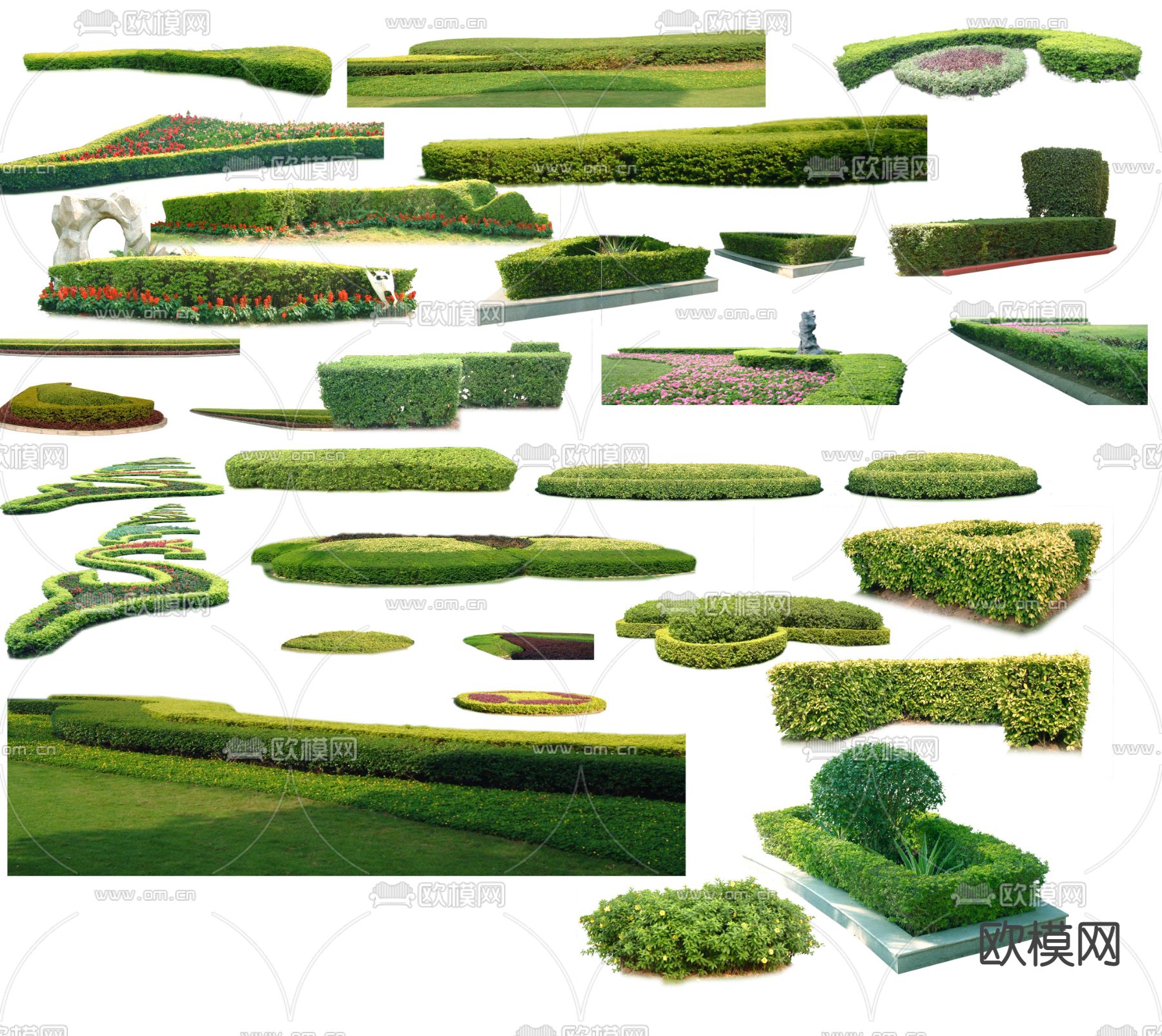 现代绿植花草灌木丛psd下载