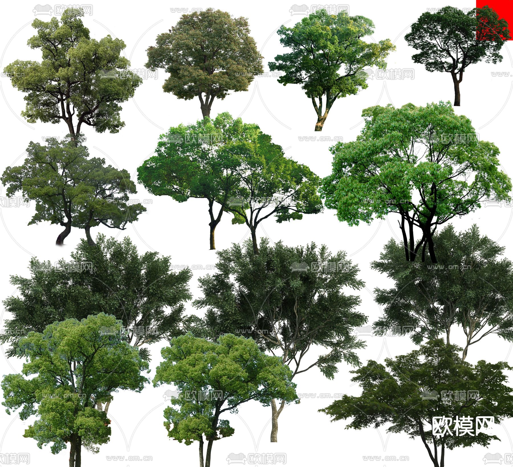 现代大树树木景观树psd下载_ID12142673_3dmax免费模型-欧模网
