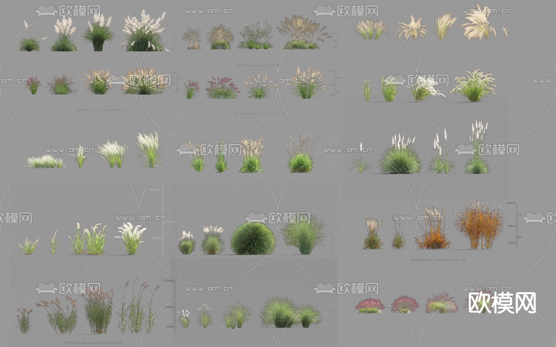 现代灌木丛植物堆psd下载