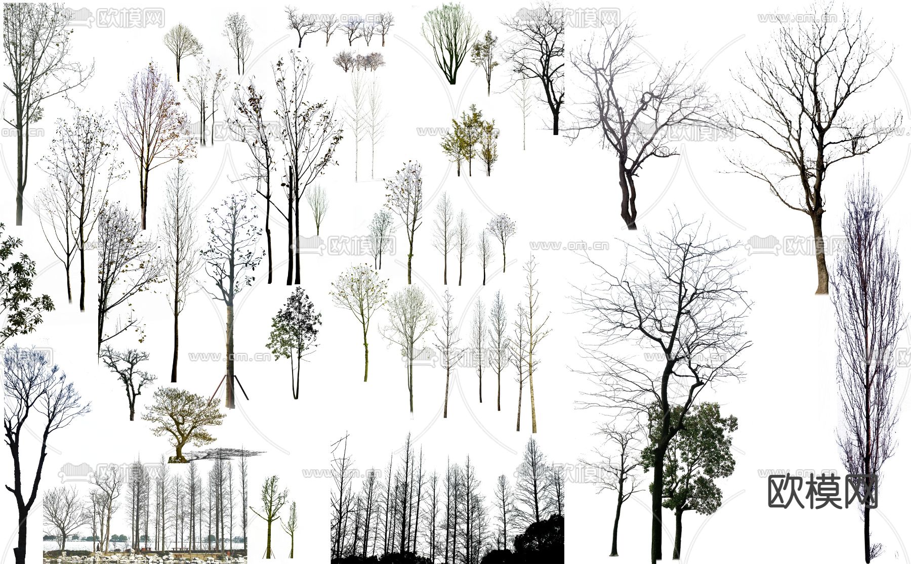 现代枯树景观树psd下载