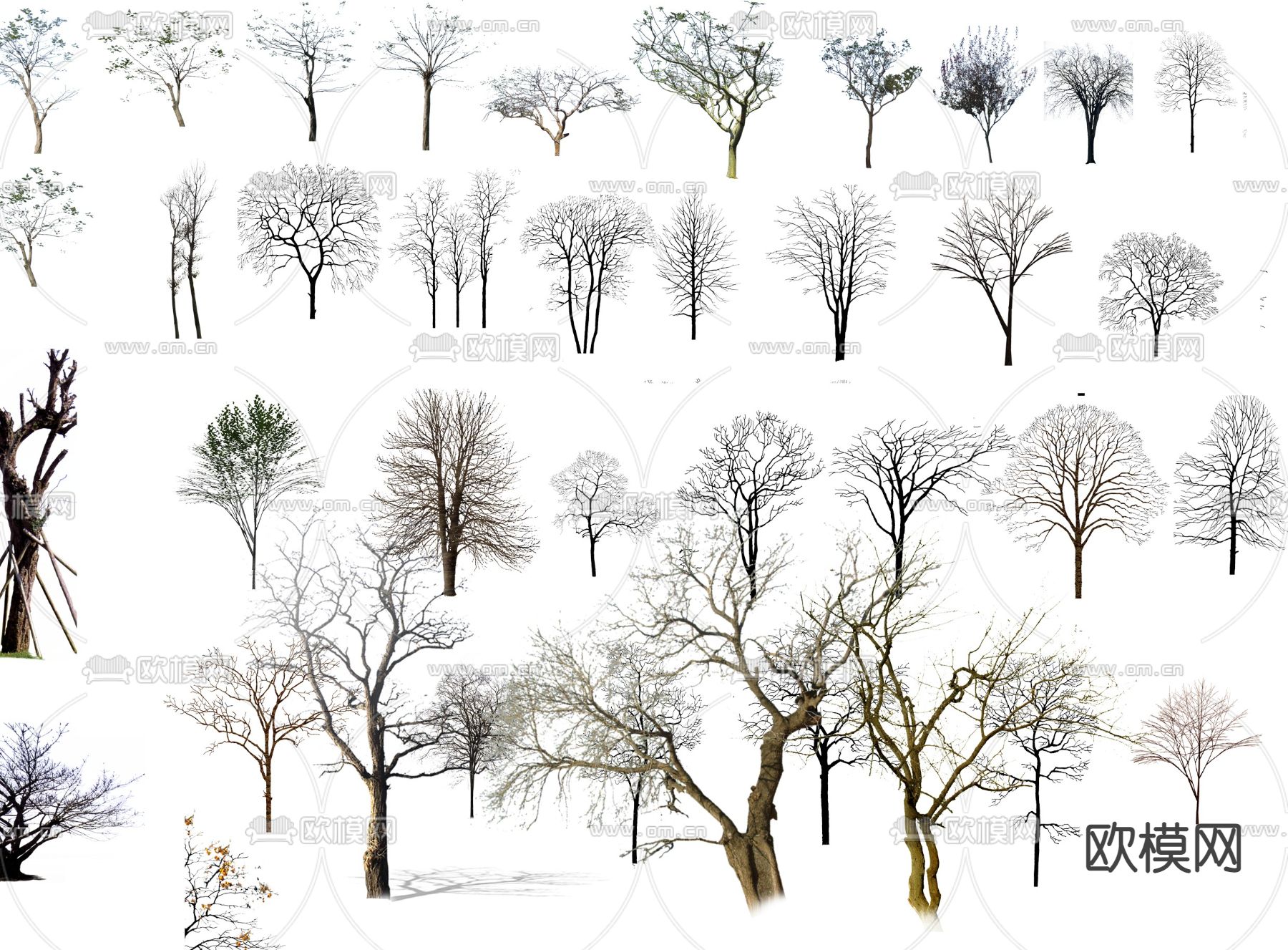 现代枯树景观树psd下载