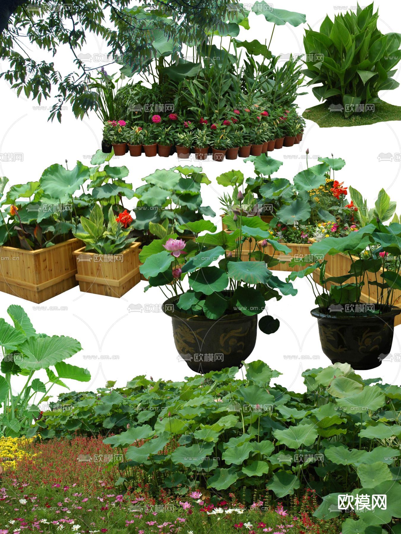 现代灌木丛花草绿植盆栽psd下载