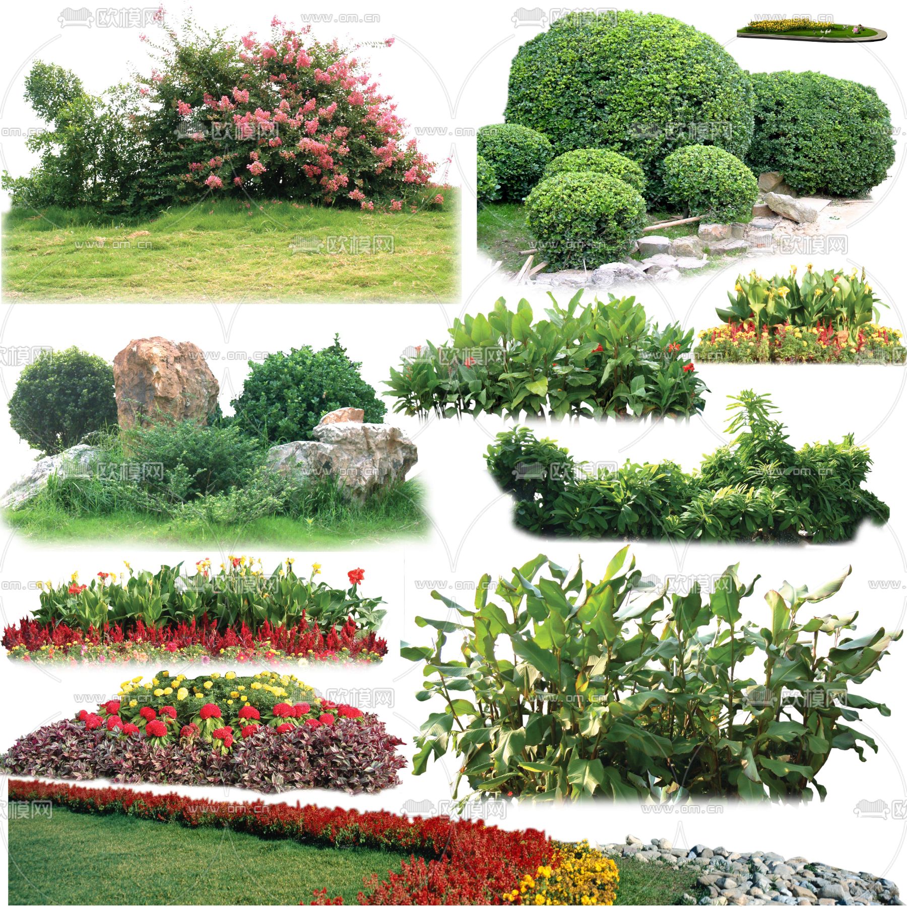 现代绿植花草灌木丛psd下载_ID12145267_3dmax免费模型-欧模网