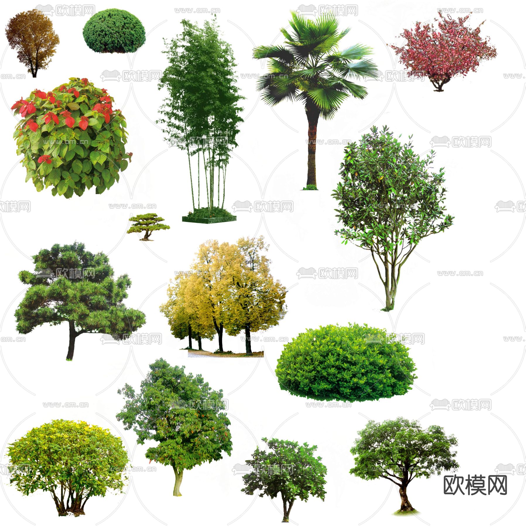 现代大树树木景观树psd下载_ID12146917_3dmax免费模型-欧模网