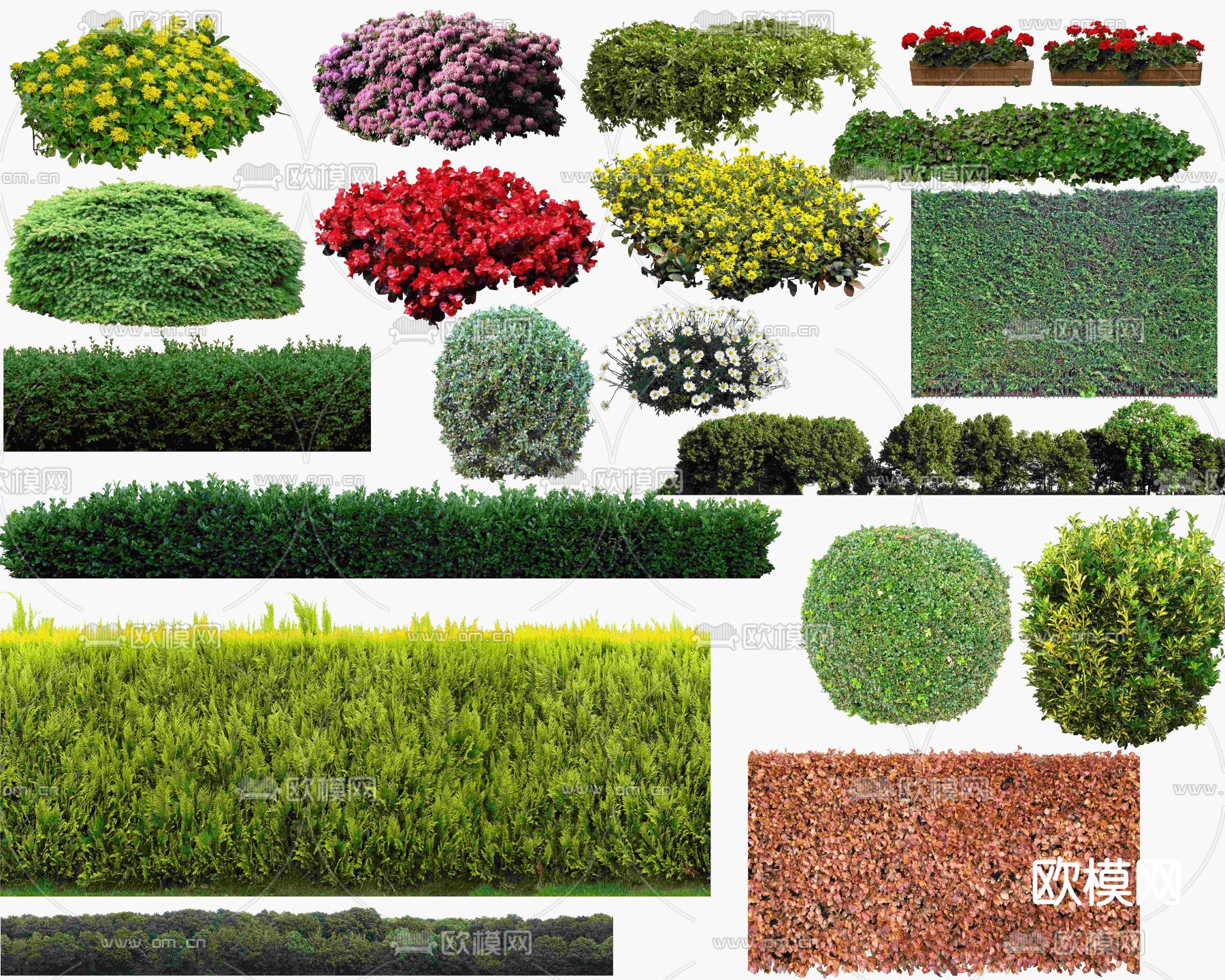 现代灌木丛植物堆psd下载