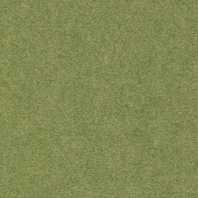 绿色毛呢贴图 