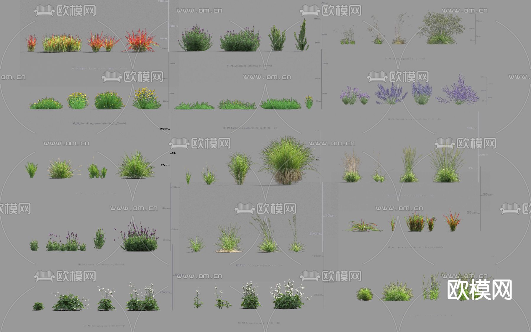 现代灌木丛植物堆psd下载