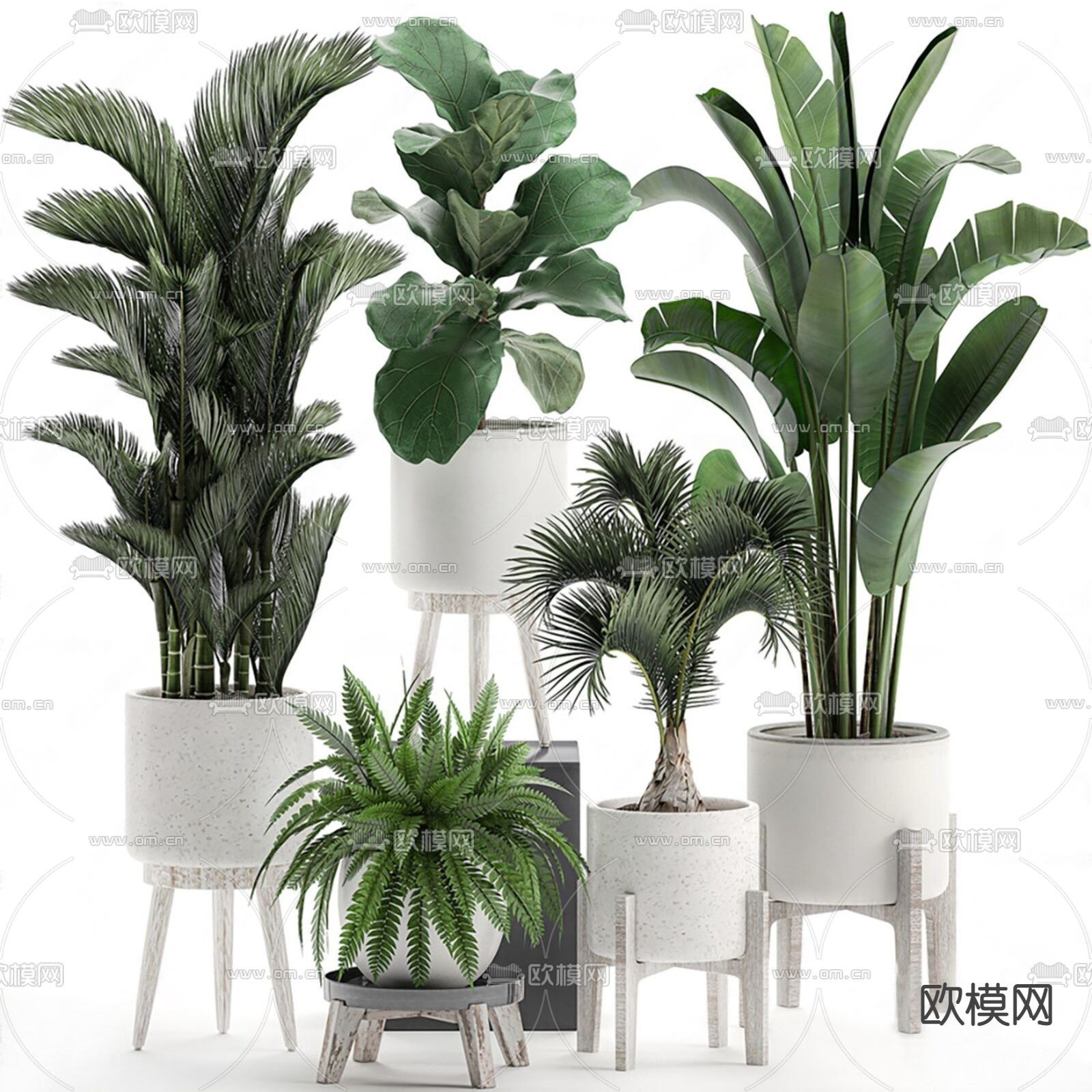 现代绿植盆栽 盆景su模型下载_ID12141668_sketchup模型下载-欧模网