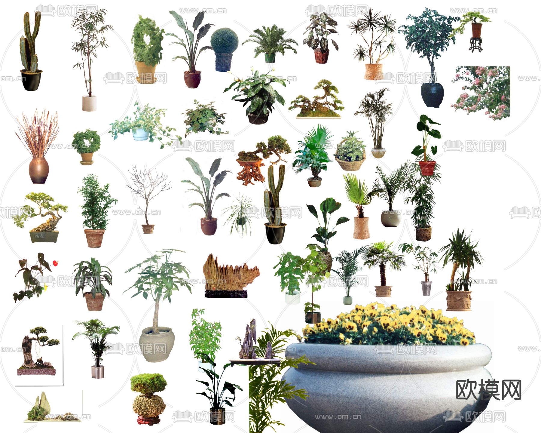 现代花草绿植盆栽花坛psd下载