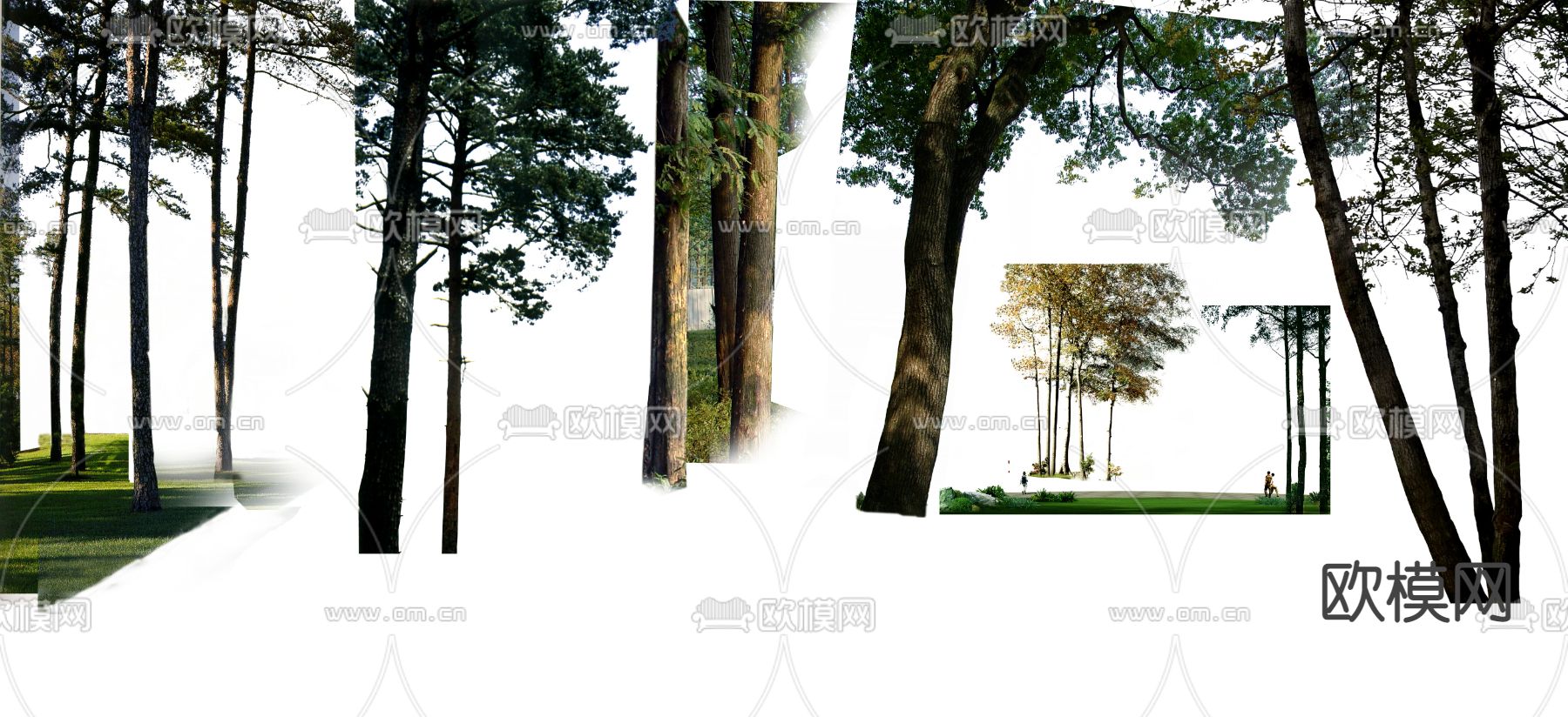 现代挂角树景观树psd下载