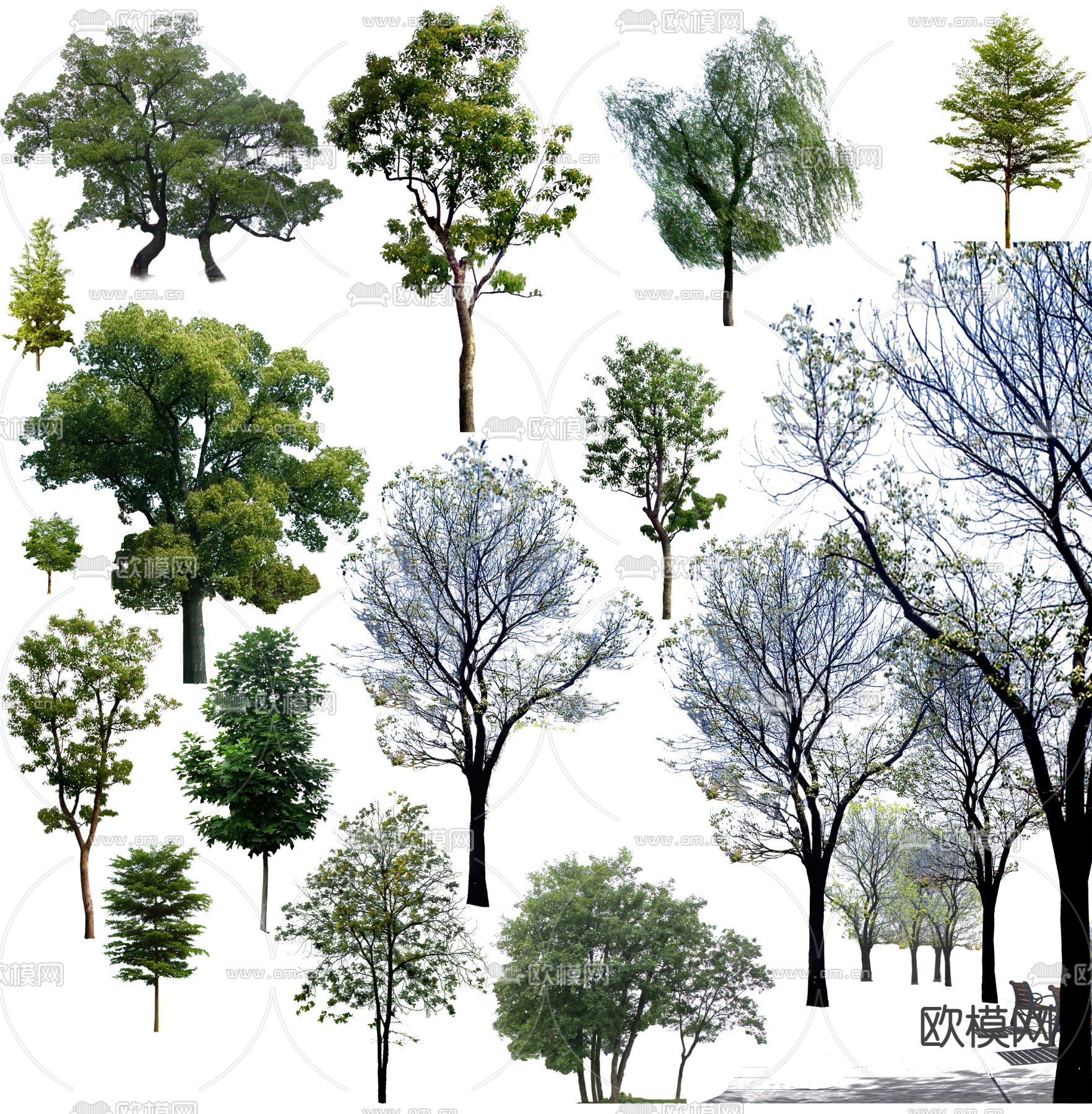 现代大树树木景观树psd下载_ID12146916_3dmax免费模型-欧模网