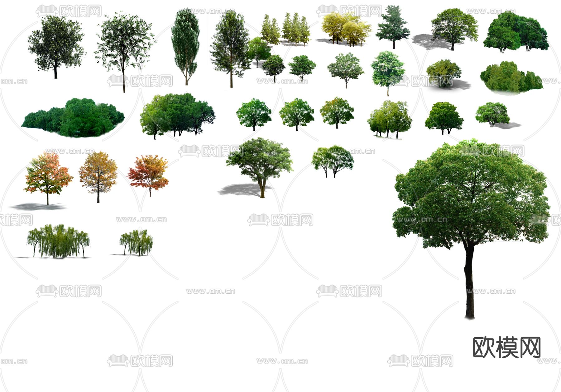 现代大树树木景观树psd下载_ID12146907_3dmax免费模型-欧模网