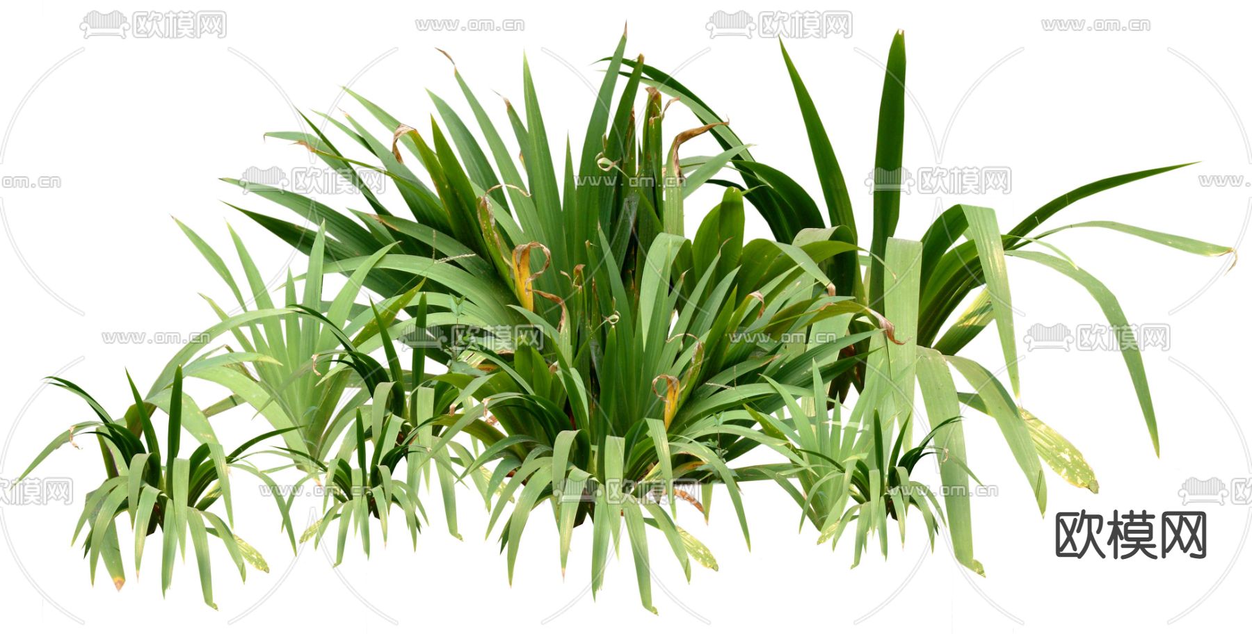 现代绿植灌木丛psd下载