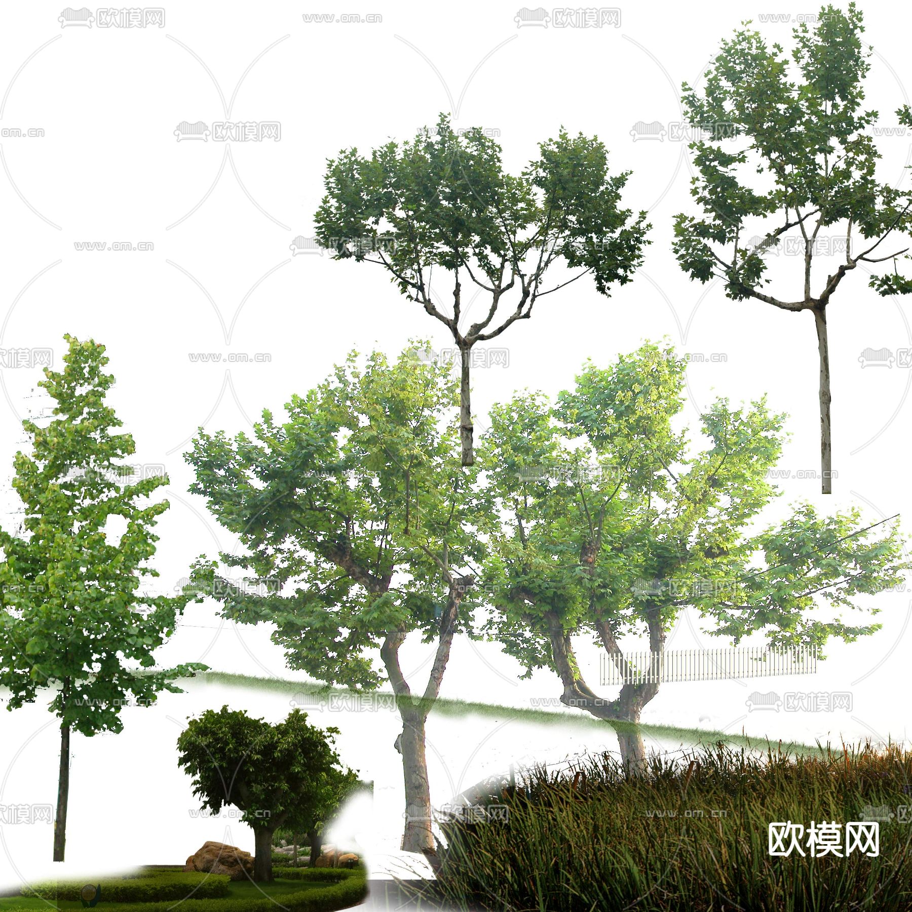 现代大树树木景观树psd下载_ID12145239_3dmax免费模型-欧模网