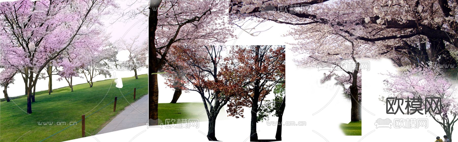 现代挂角树景观树psd下载