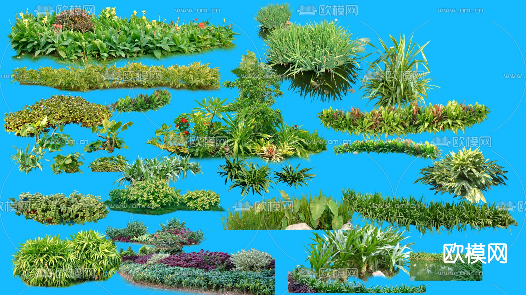 现代绿植花草灌木丛psd下载