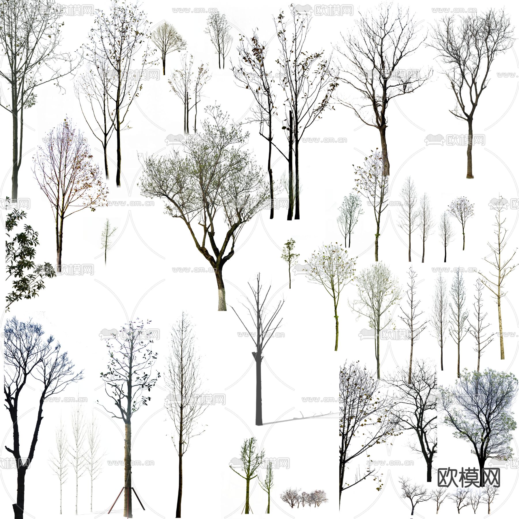 现代枯树景观树psd下载