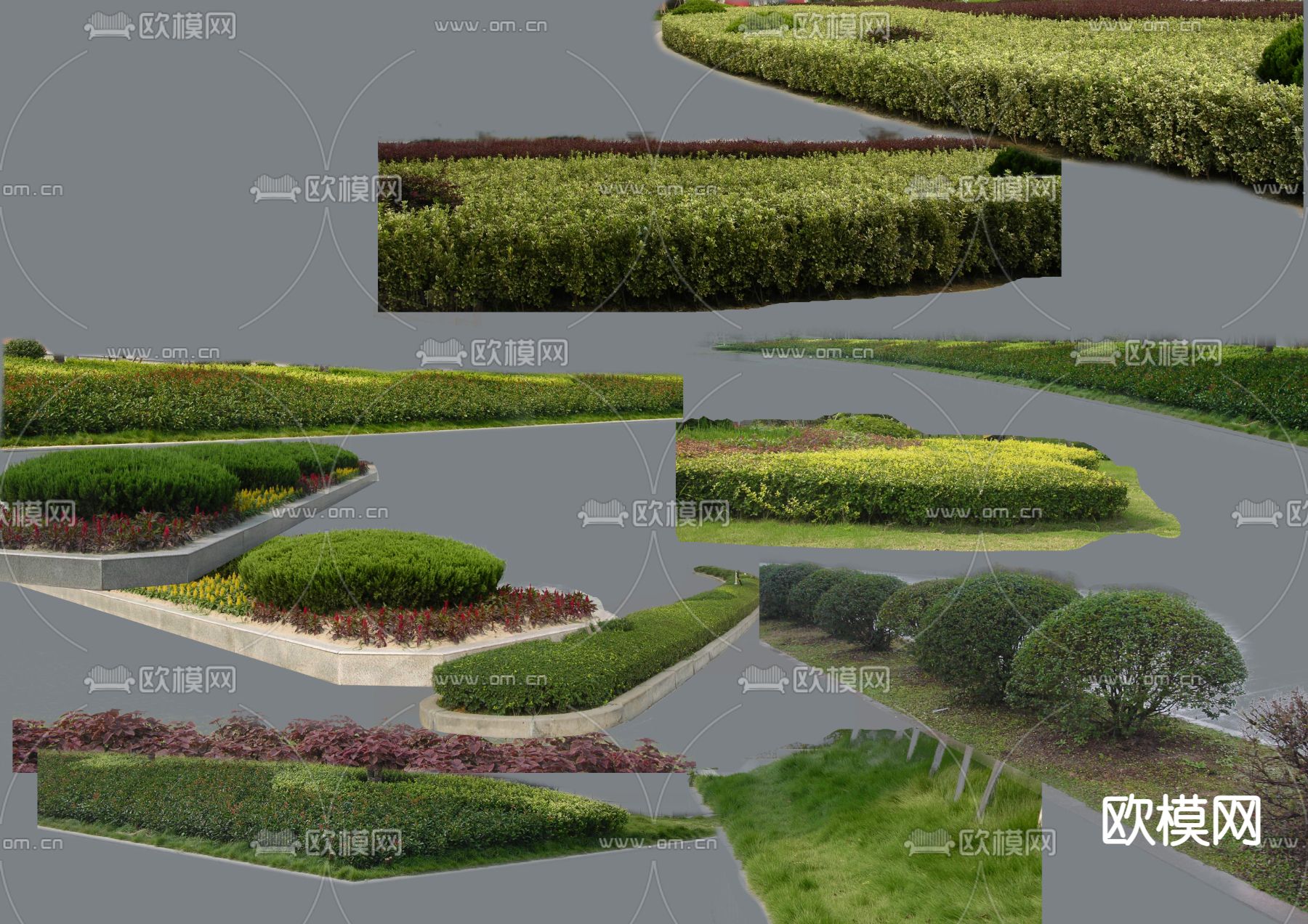 现代灌木丛绿植psd下载