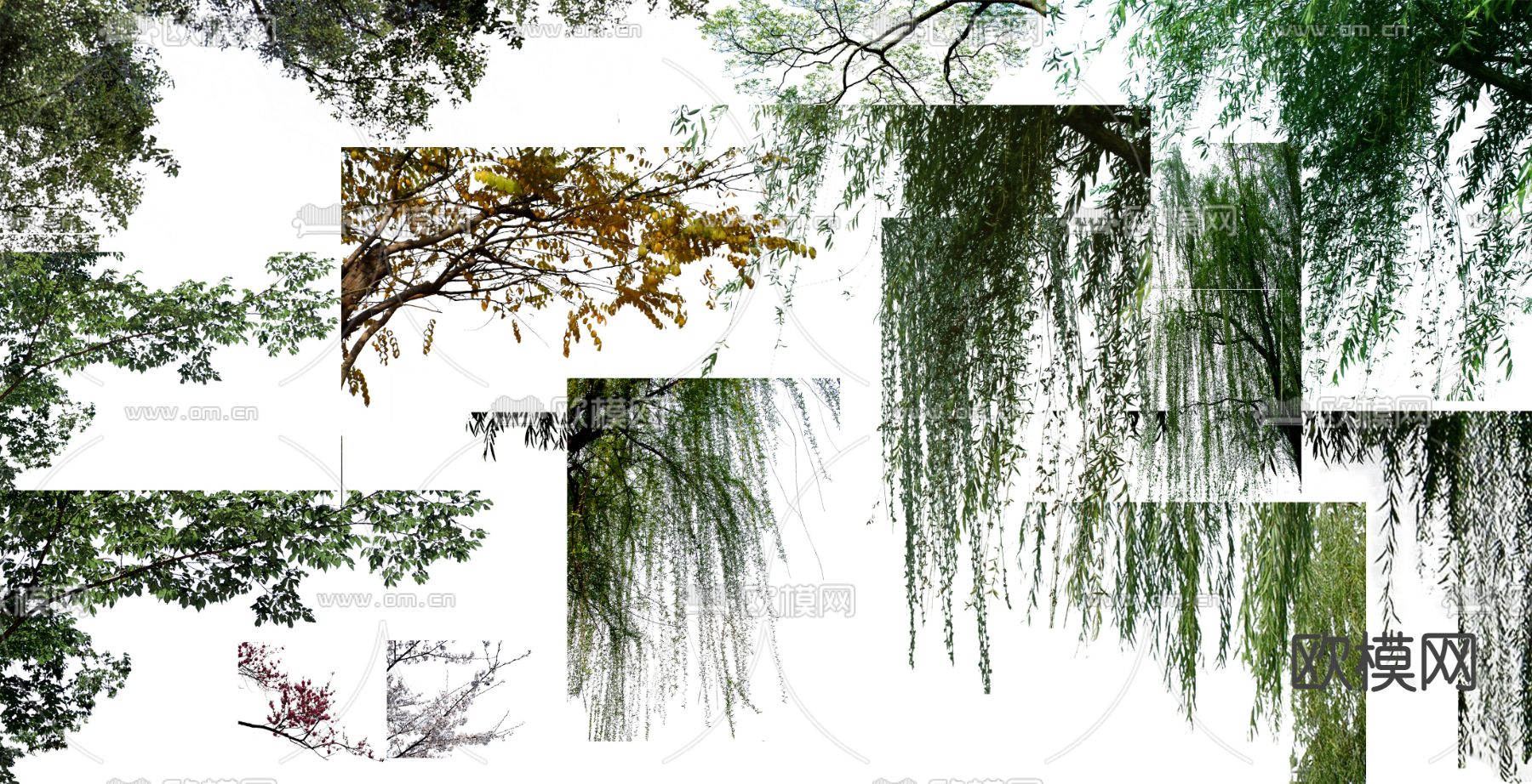 现代挂角树景观树psd下载