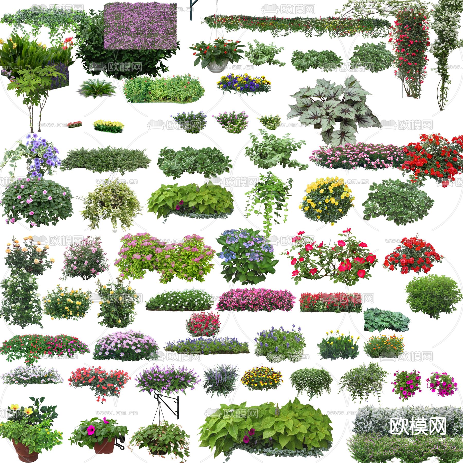 现代灌木丛花草盆栽psd下载