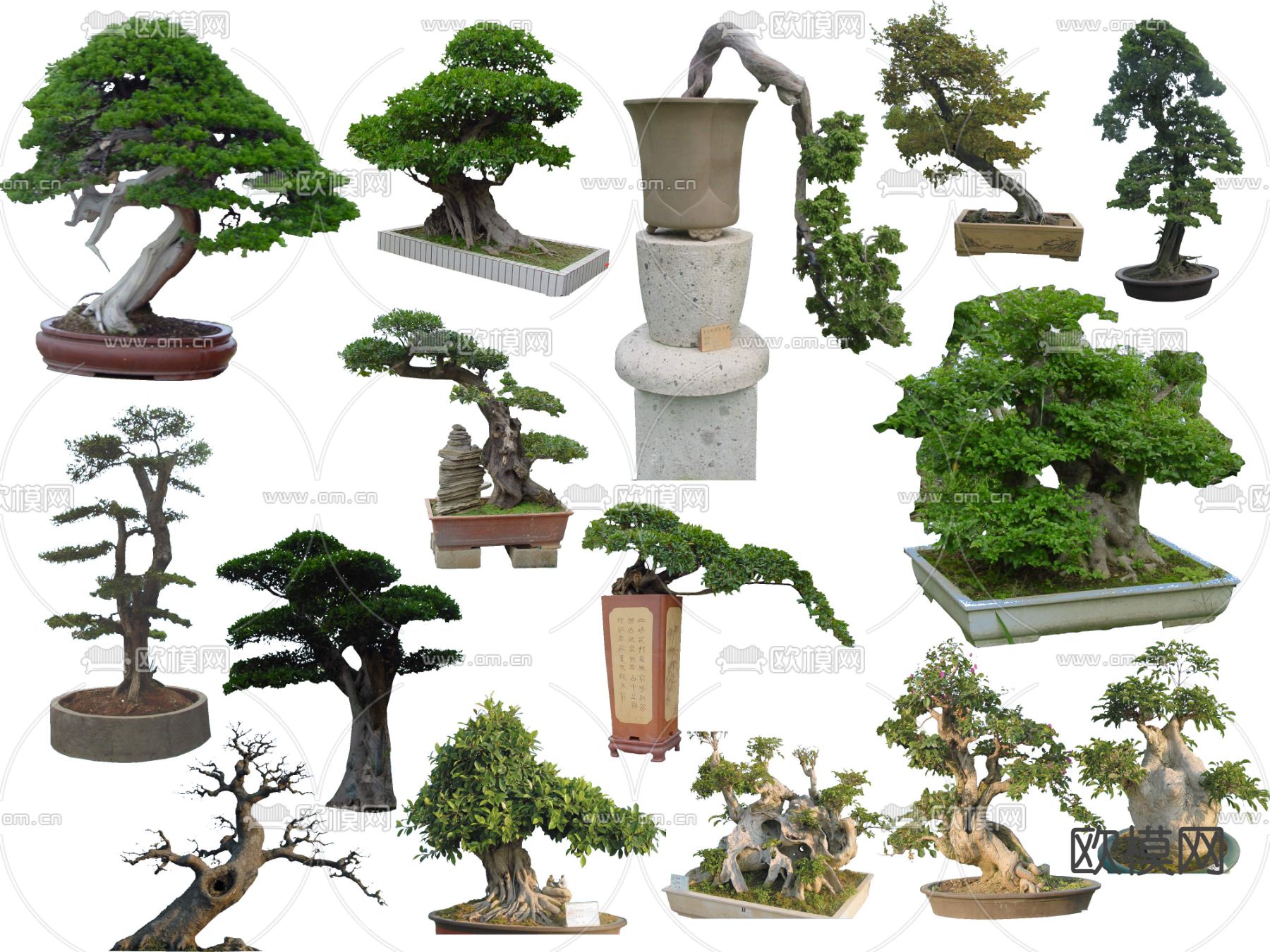 现代景观树花坛树psd下载